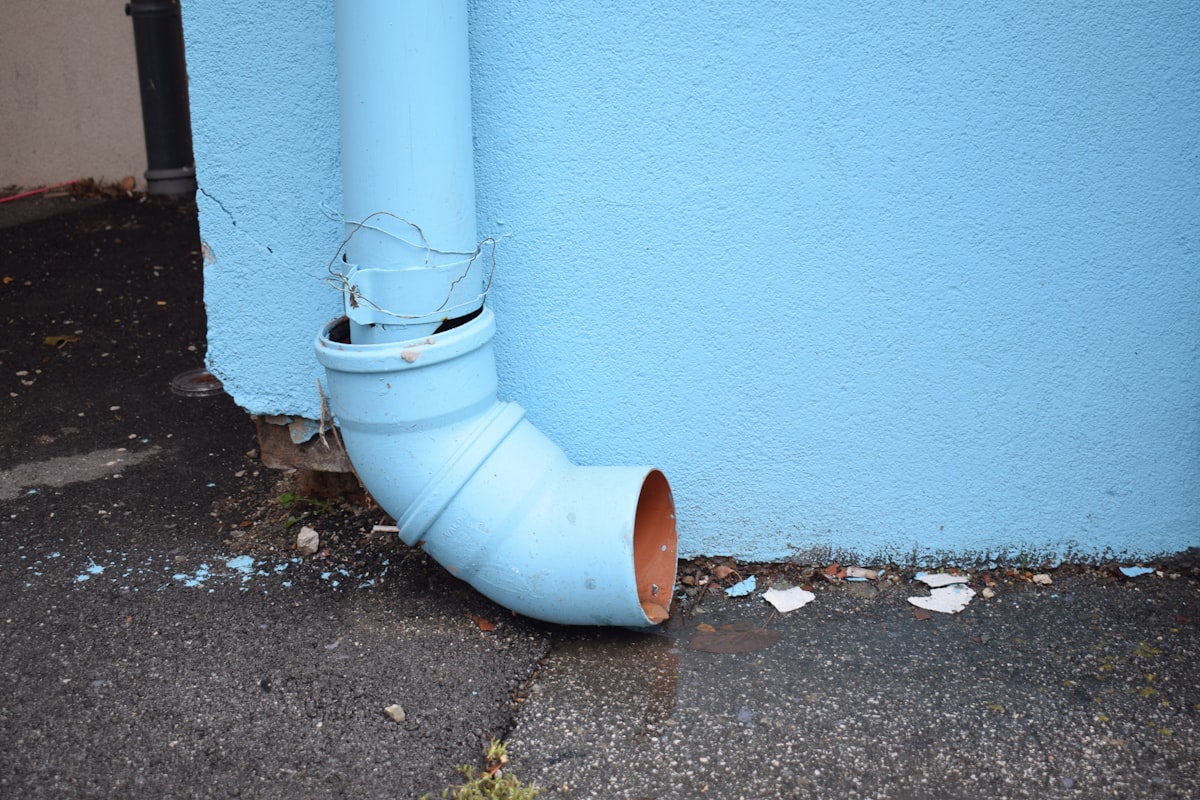 Mold Remediation service in Pomona, CA