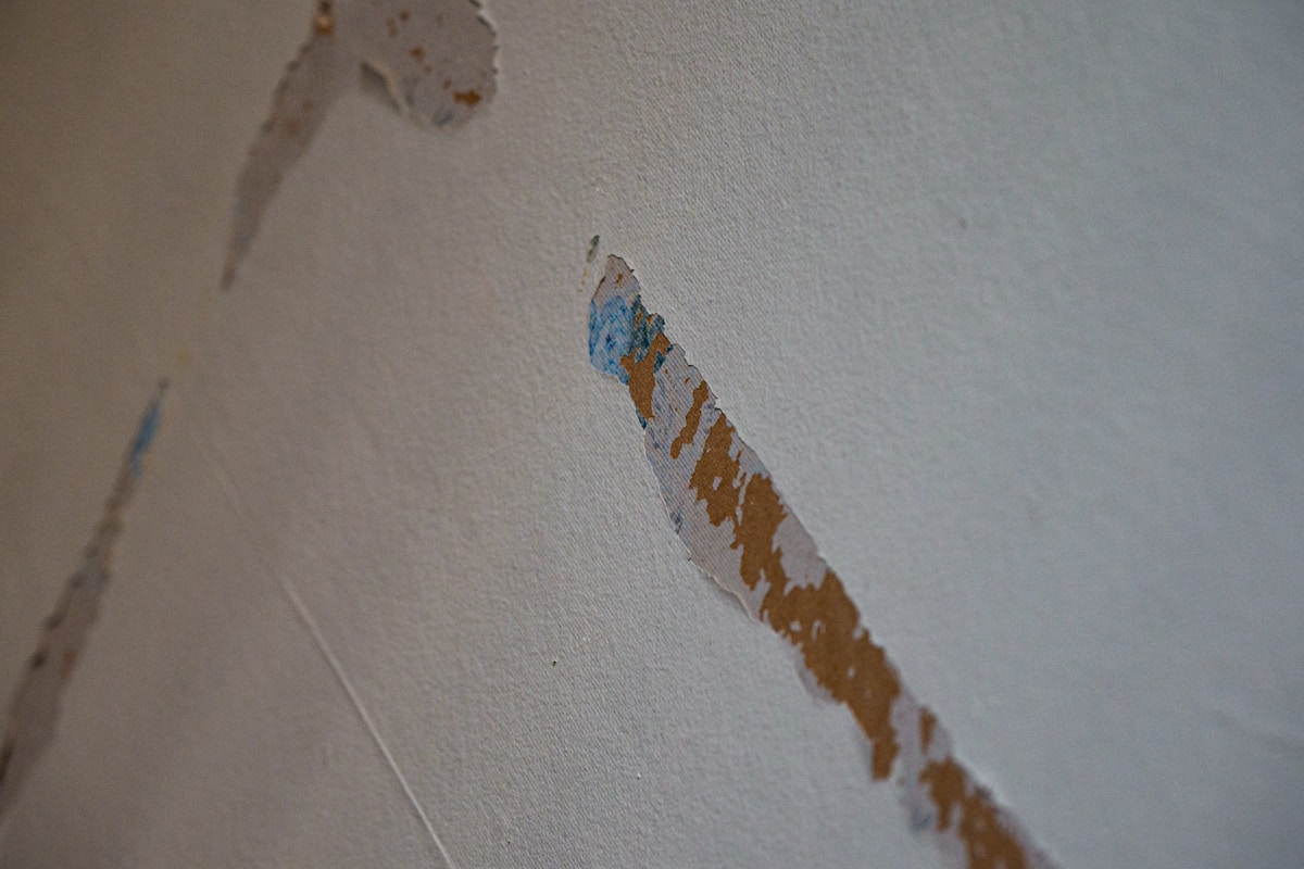 Sewage Cleanup service in Pomona, CA